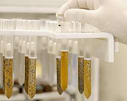 Análise metalográfica de solda Análise metalográfica de solda