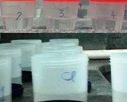 Análise metalográfica de solda Análise metalográfica de solda