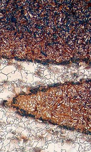 Análise metalográfica de metais Análise metalográfica de metais