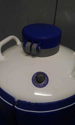 Botijão de sêmen bovino preço Botijão de sêmen bovino preço