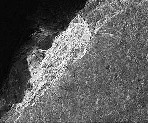 Ensaio de corrosão Ensaio de corrosão