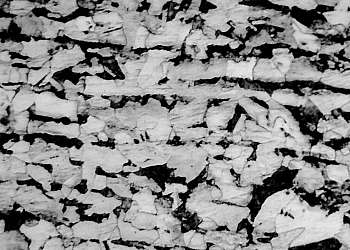 Ensaio metalográfico Ensaio metalográfico