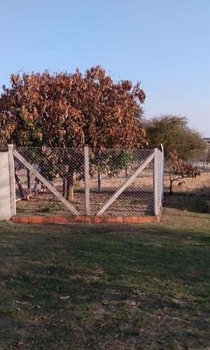 tela de proteção para canil tela de proteção para canil