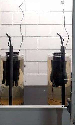 Testes e ensaios em EPI's e EPC's Testes e ensaios em EPI's e EPC's