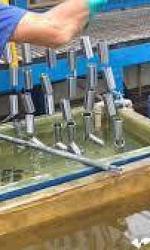 tratamento superficial níquel químico tratamento superficial níquel químico